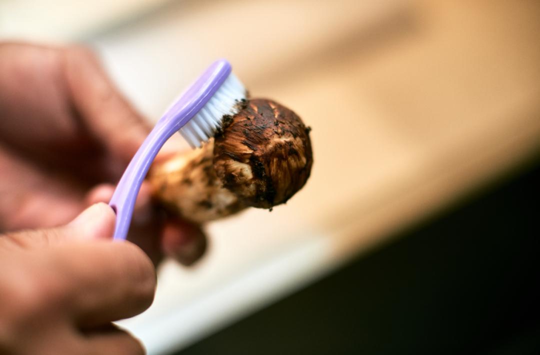 新鲜松茸怎么吃这些吃法值得一试,新鲜松茸清洗后吸水量大保存方法