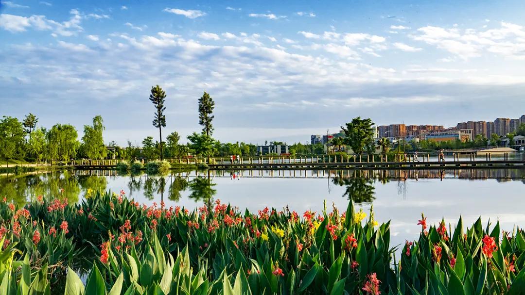 双流绿道风景,成都双流区风景好的绿道