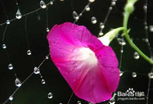 未婚得宫颈囊肿正常么,未婚女性得宫颈囊肿是怎么造成的