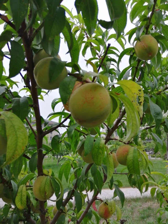 最后30天语文备考方案,工作点滴100字