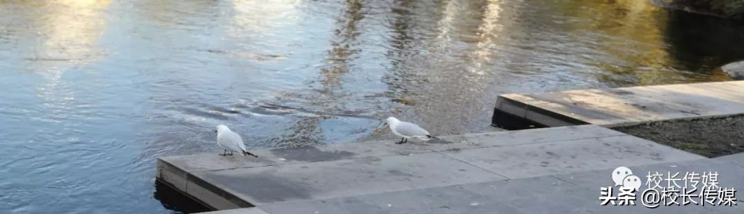 新西兰教育努力向上,新西兰的鼓励式教育