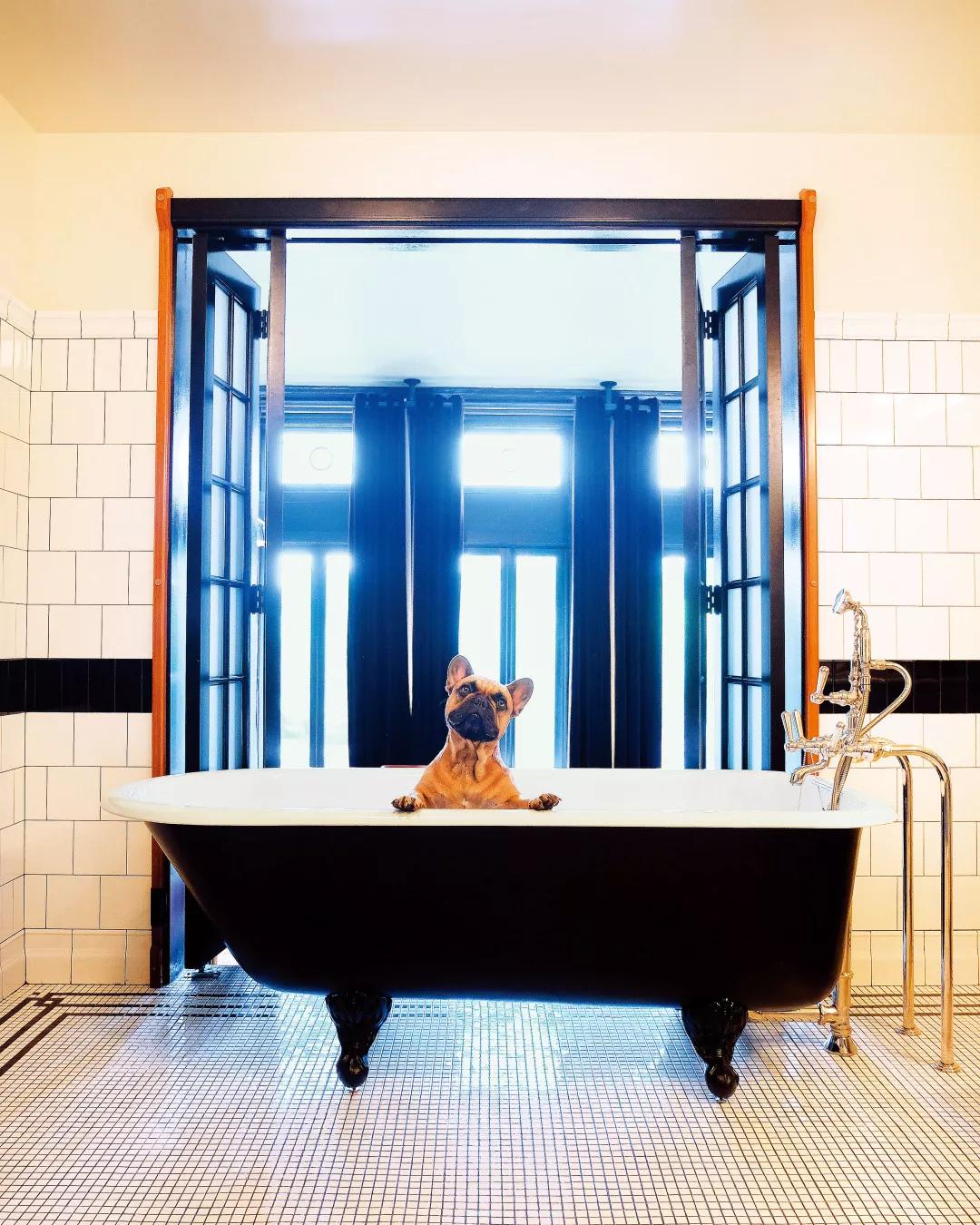 去芝加哥没听复古蓝调？那你白去啦