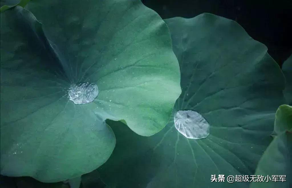 佛说做人请不要炫耀,佛说为什么不能炫耀