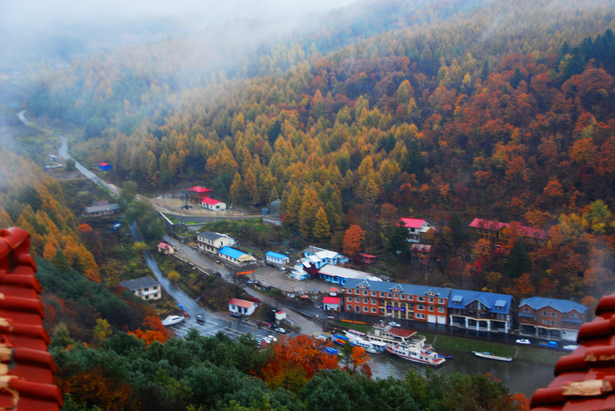 吉林大米特点,吉林最好的大米产地排名
