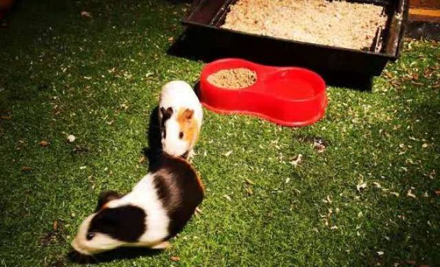 西安白鹿仓欢乐世界,西安曲江极地海洋馆旅游攻略