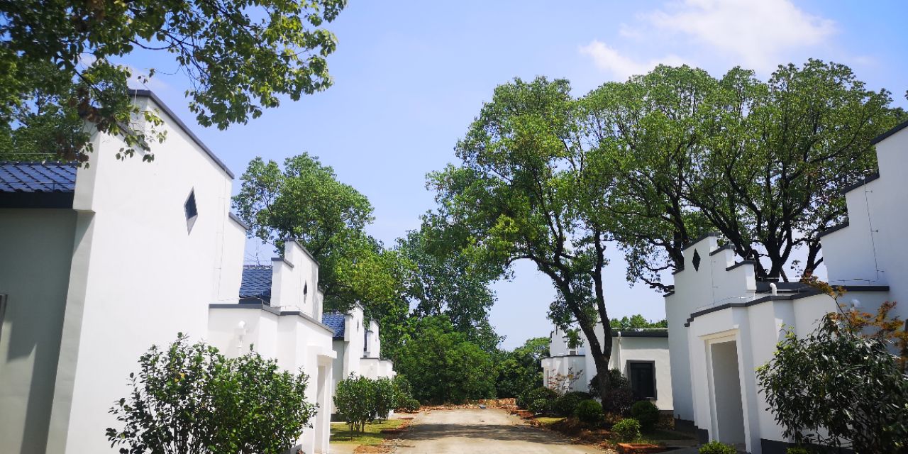 楹联诗词与书法,楹联书法作品欣赏长联