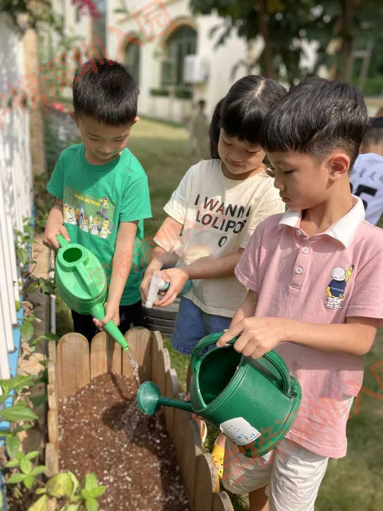 南翔翔华幼儿园招生简章,祥瑞华幼儿园价格