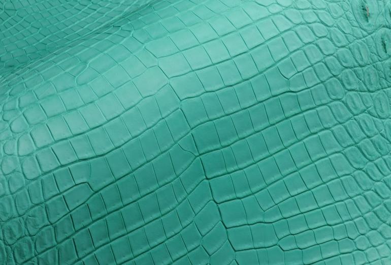 美洲鳄鱼皮表带和真皮表带的区别,皮表带都有哪些款式