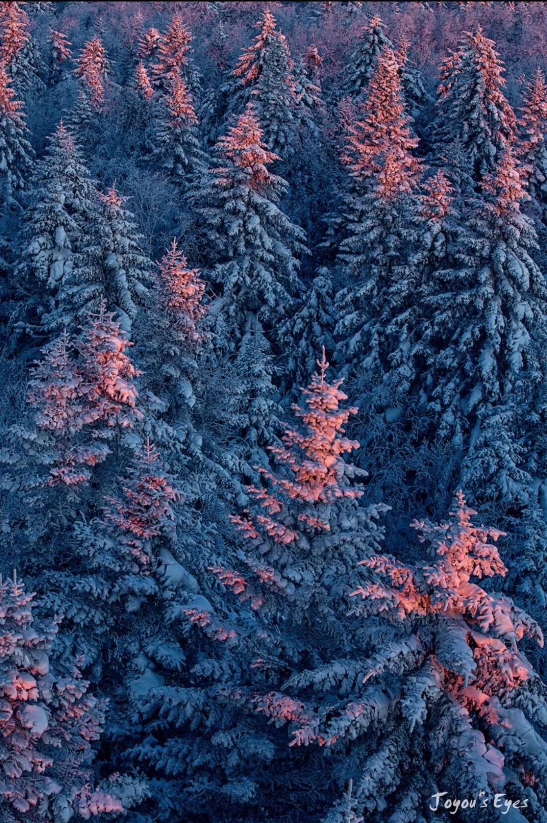 冰雪摄影实战推荐,雪地摄影前期参数