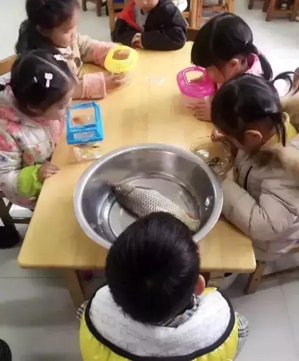 幼儿园手工作业逼疯家长,幼儿园手工作业难倒家长系列