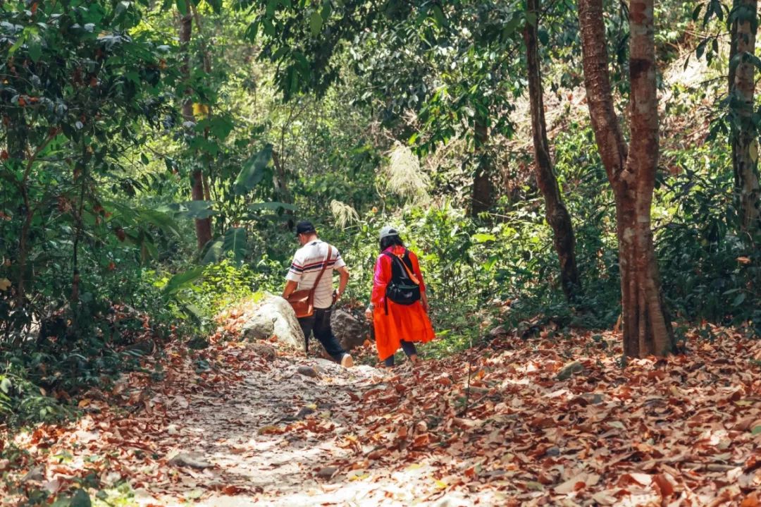 在清迈逛夜市感受泰国人慢生活,去清迈享受放下脚步的慢生活