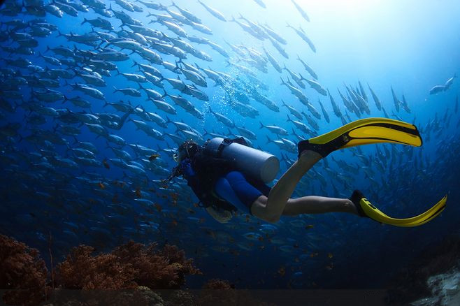 潜水时要注意什么事项