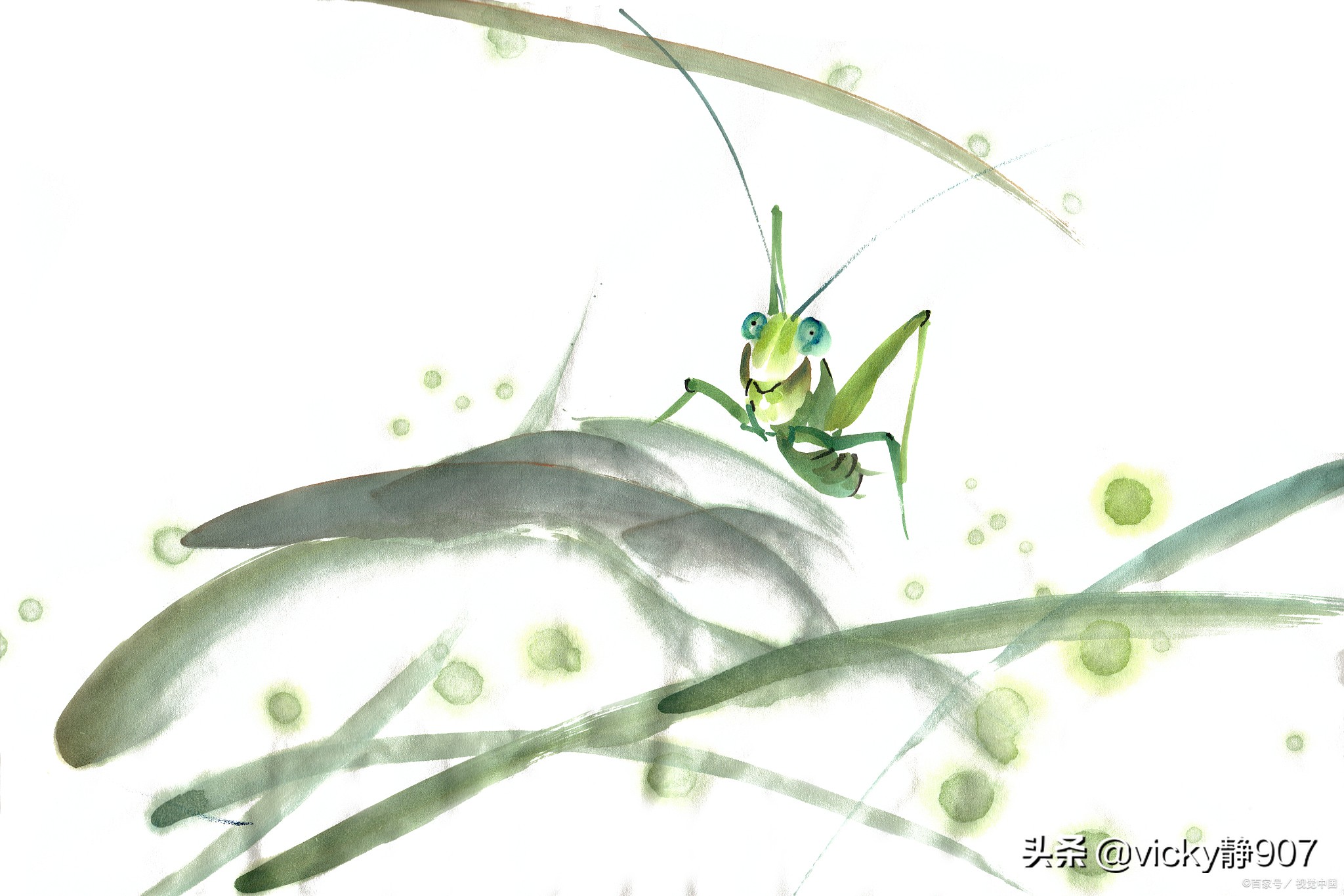 绿山墙的安妮第八章的读后感,绿山墙的安妮好词好句读后感