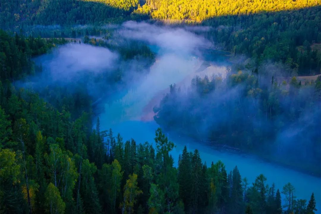 这是补气血最好的方法，不用去花冤枉钱
