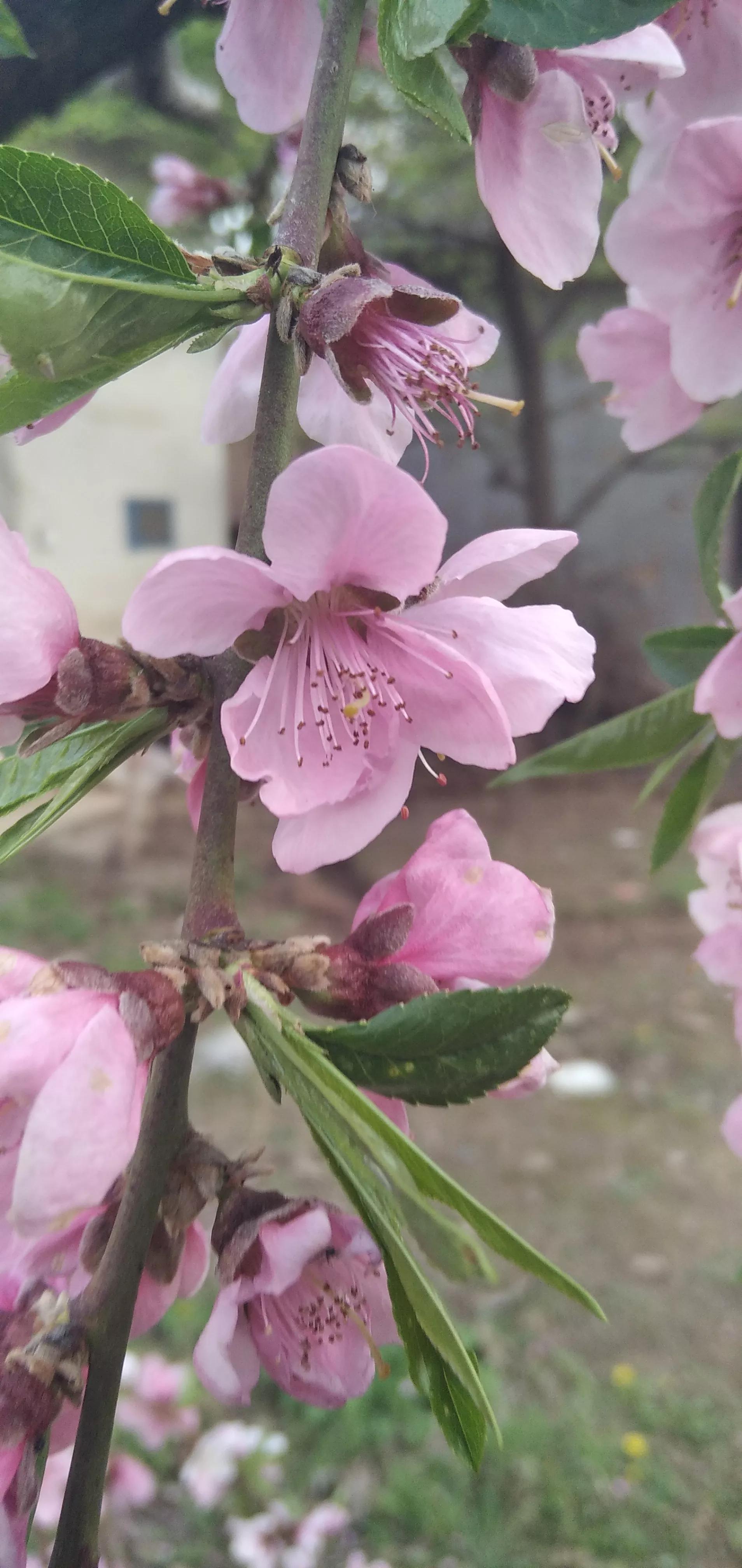 家长冤枉孩子,孩子被冤枉了家长怎么办