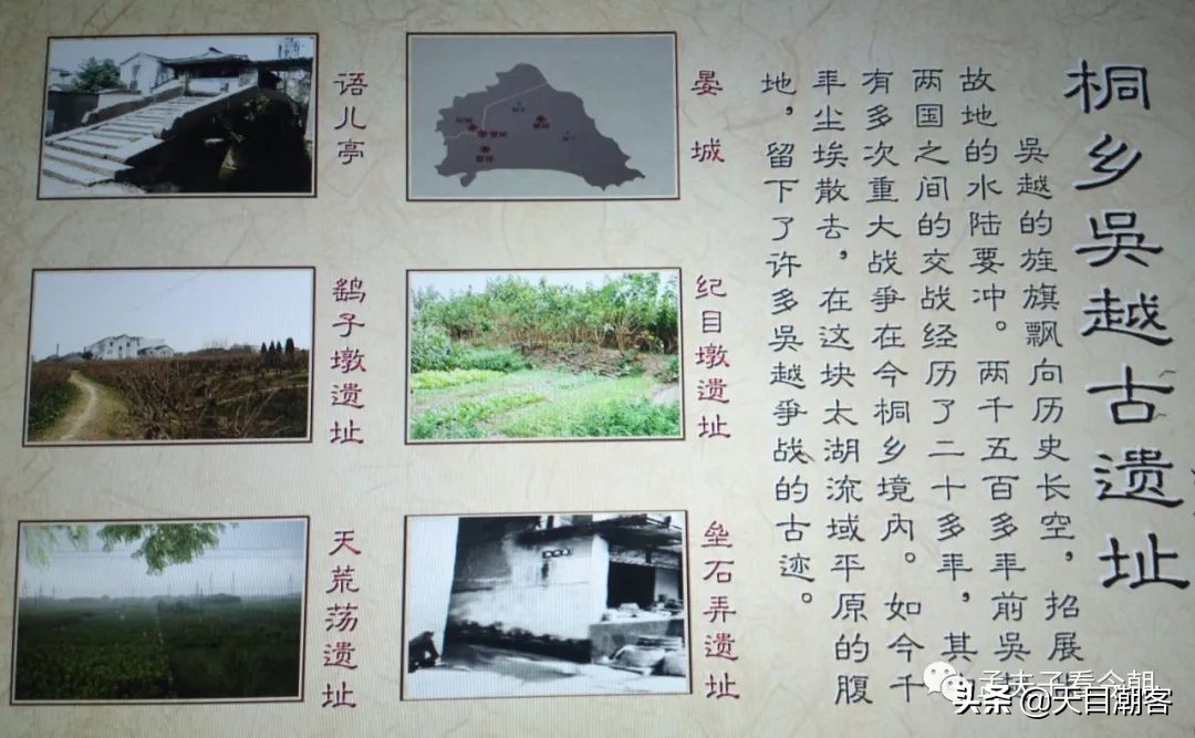 浙江孔庙调查|茅盾故里钩沉:桐乡拆儒宫取良材换钢材造大会堂