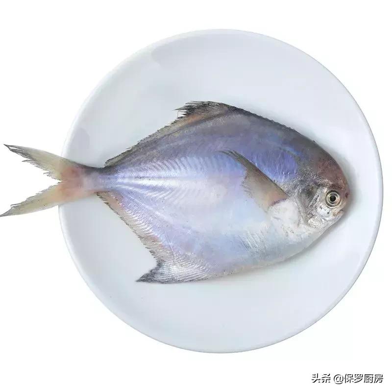 海鲜大荟萃,常见贝壳类海鲜