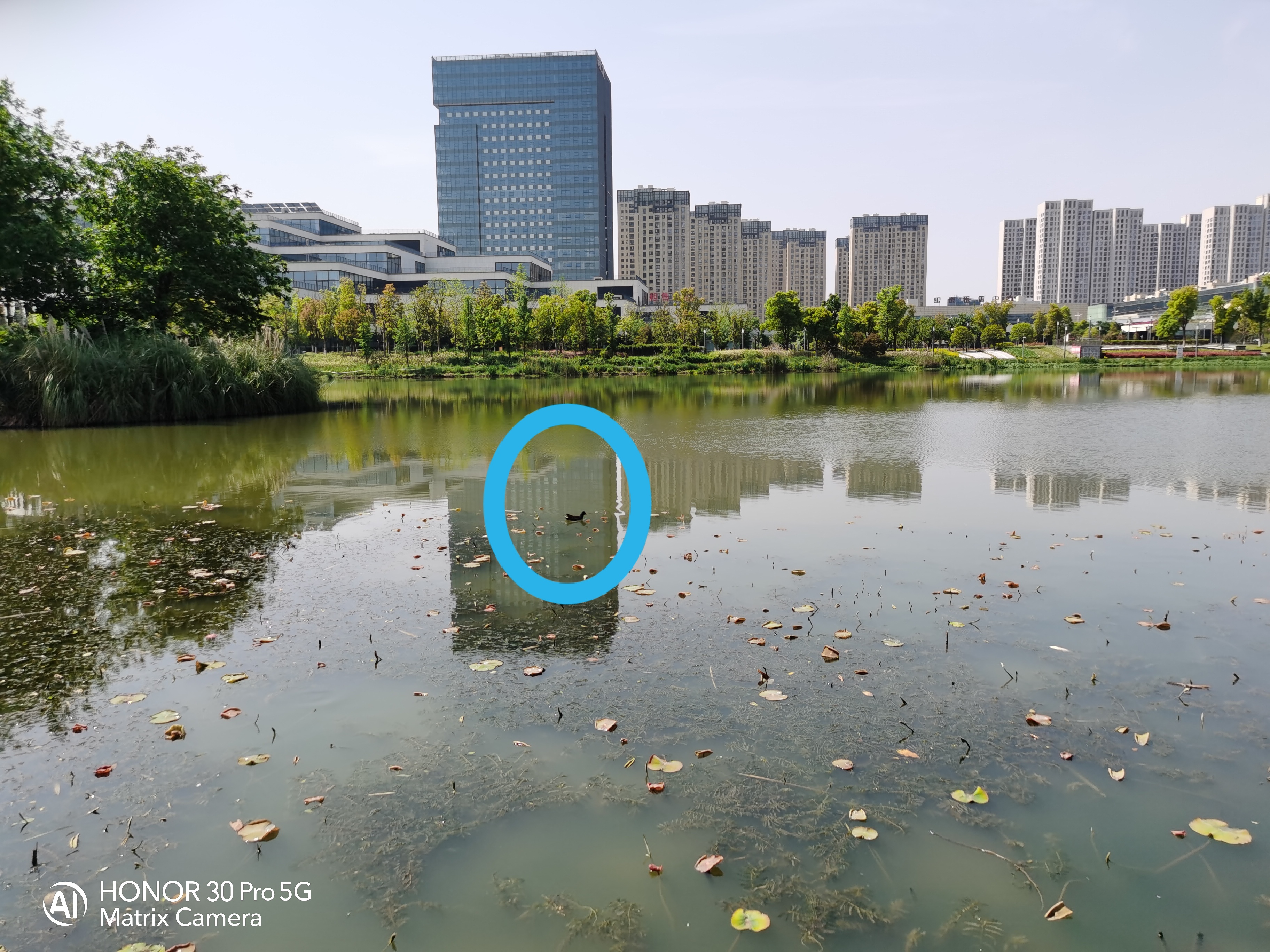 颜值能打100分吗,颜值能打三分吗