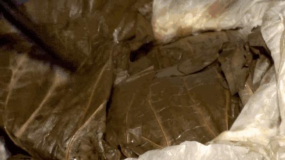 甲鱼的烧法饭店,甲鱼的做法大全下厨房