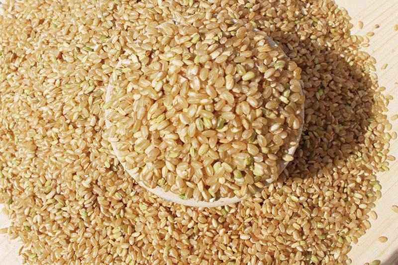 什么菌群可以减肥,如何改变肠道菌群成为易瘦体质