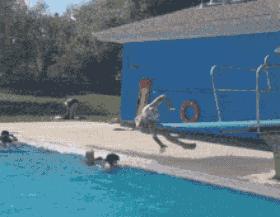 不作死不会死搞笑片段,不作死就不会死搞笑小视频