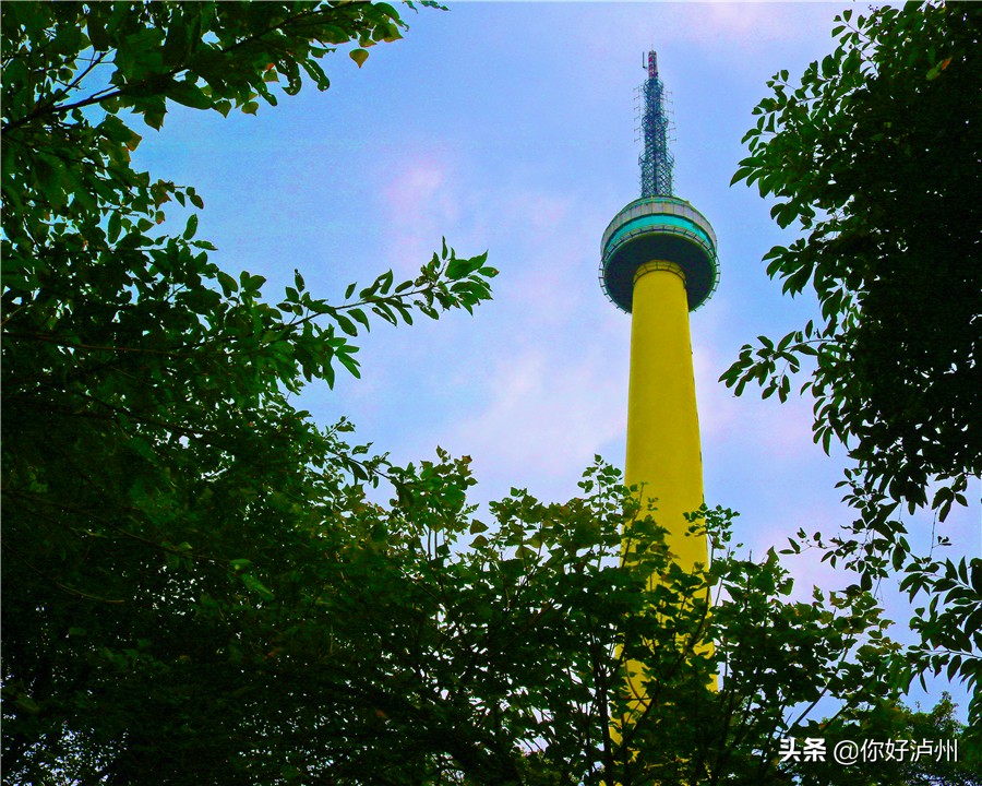 泸州最美农家乐,泸州特色农家乐