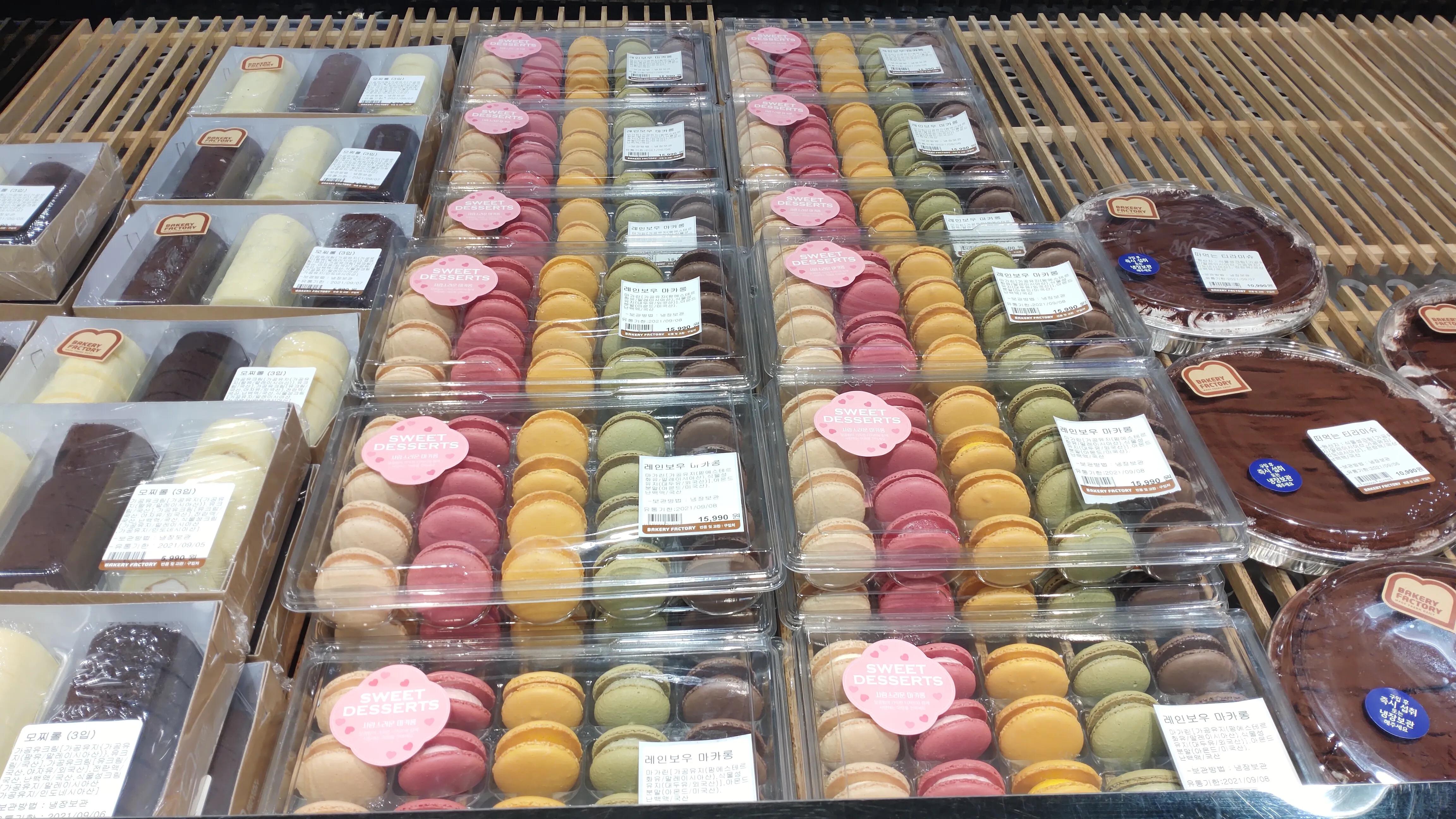 首尔layered咖啡,首尔很多萨摩耶的地方