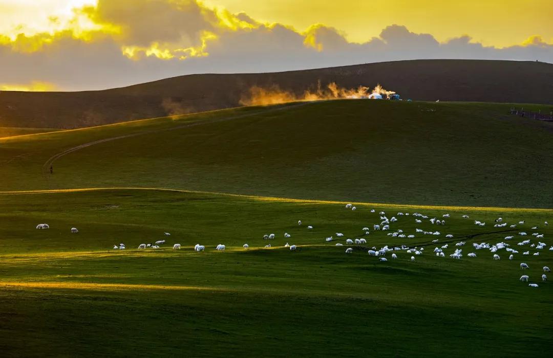 苏炳添,通辽欢迎你!吴智强,快带苏炳添回家