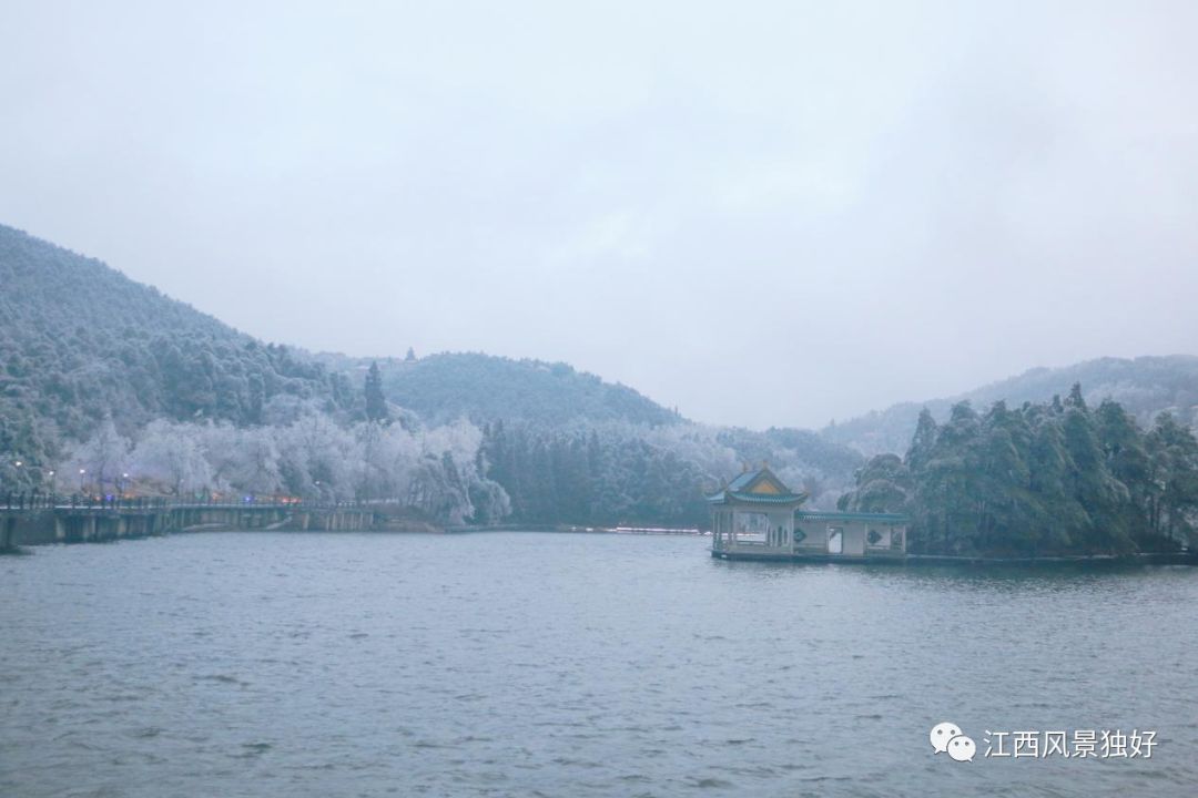 女神节礼物正在配送,江西明月山女神节免票活动开启