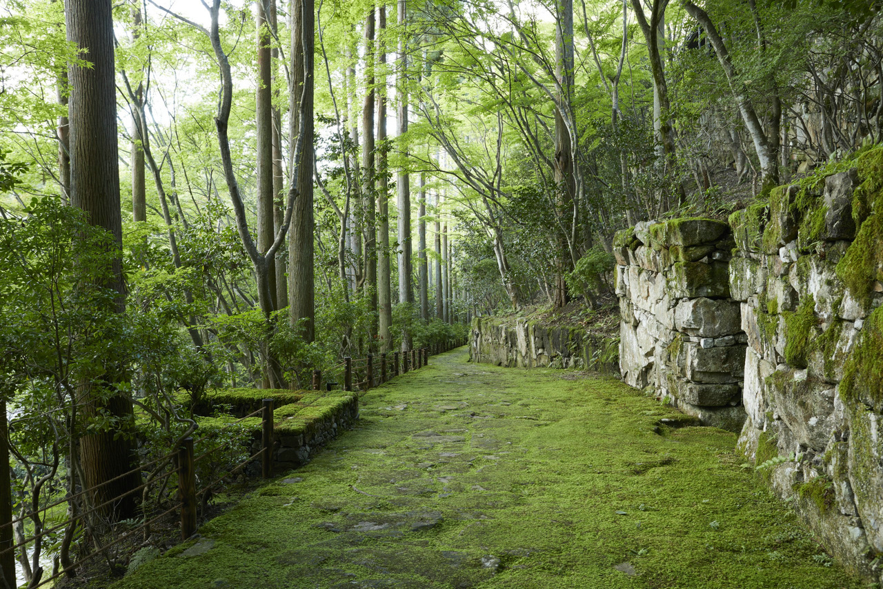 京都安缦多少钱,京都柏悦跟安缦