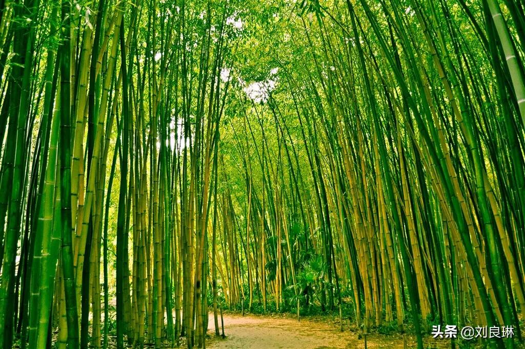 我对的对联在哪里找到,我对的对联