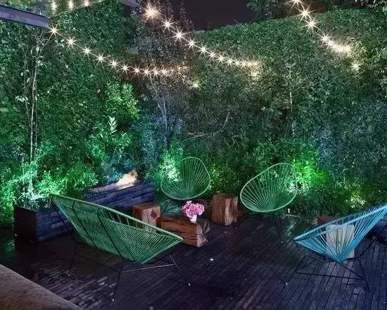 夏天院子里种爬山虎,在家里种爬山虎