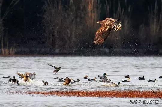 据说，2018年四川最厉害的新闻摄影都在这里