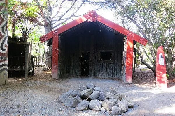 难忘的新西兰之行,在新西兰难忘的日子