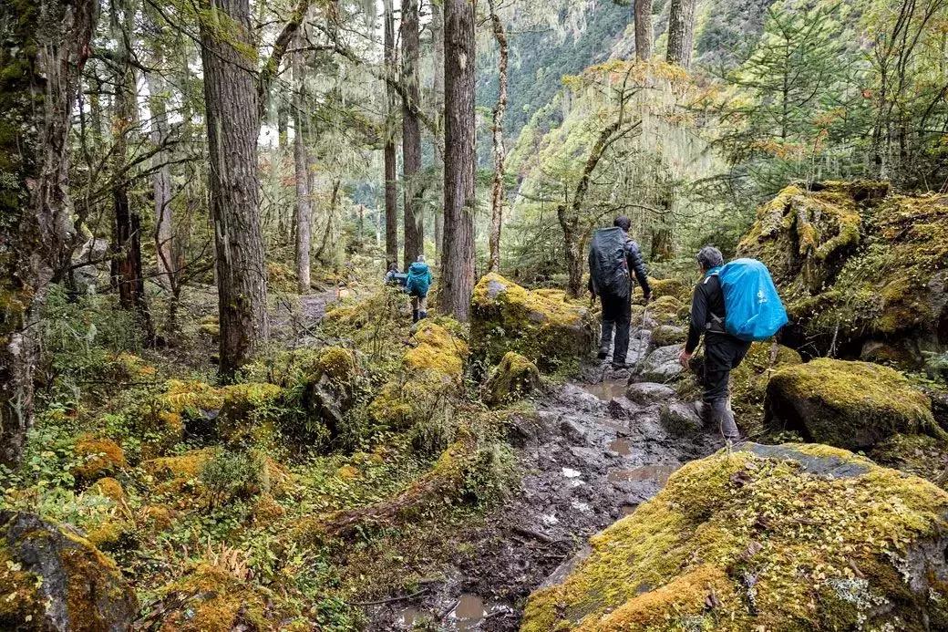 玩腻了EBC，不如试试这条“全球最难走的步道”