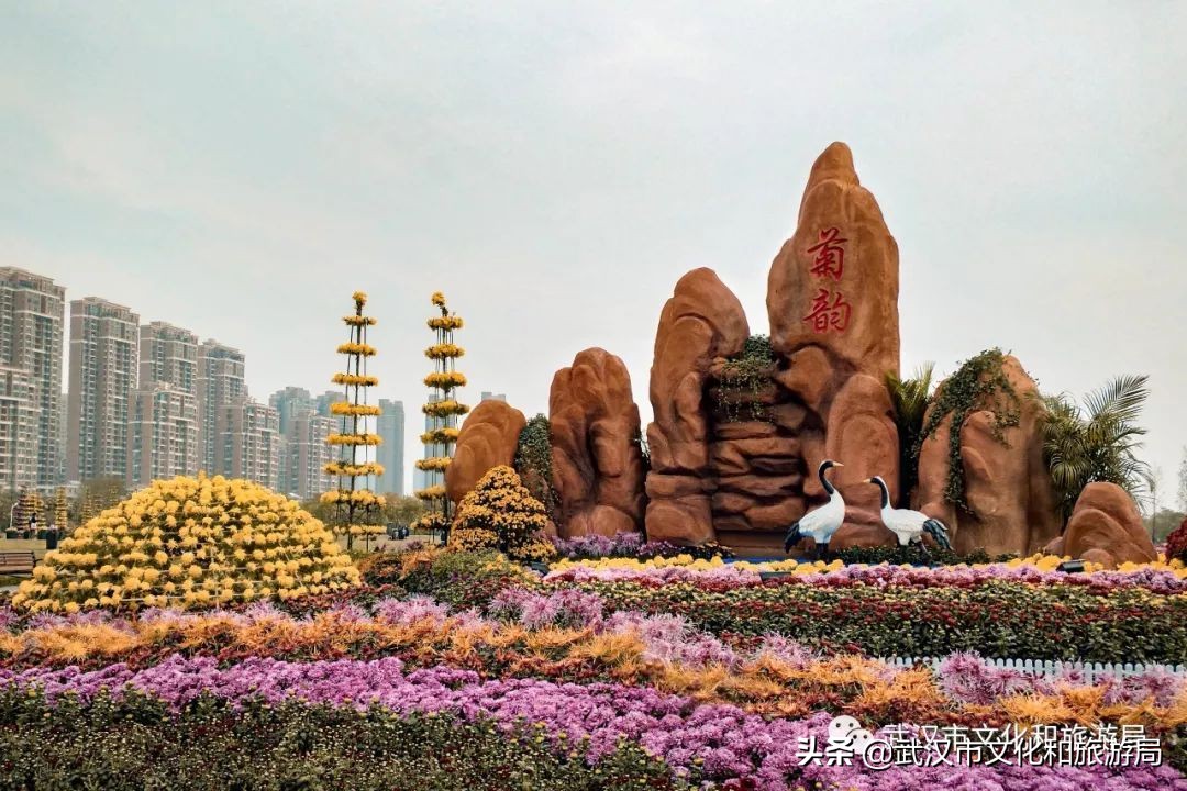 花点时间武汉东湖樱花园,武汉花点时间