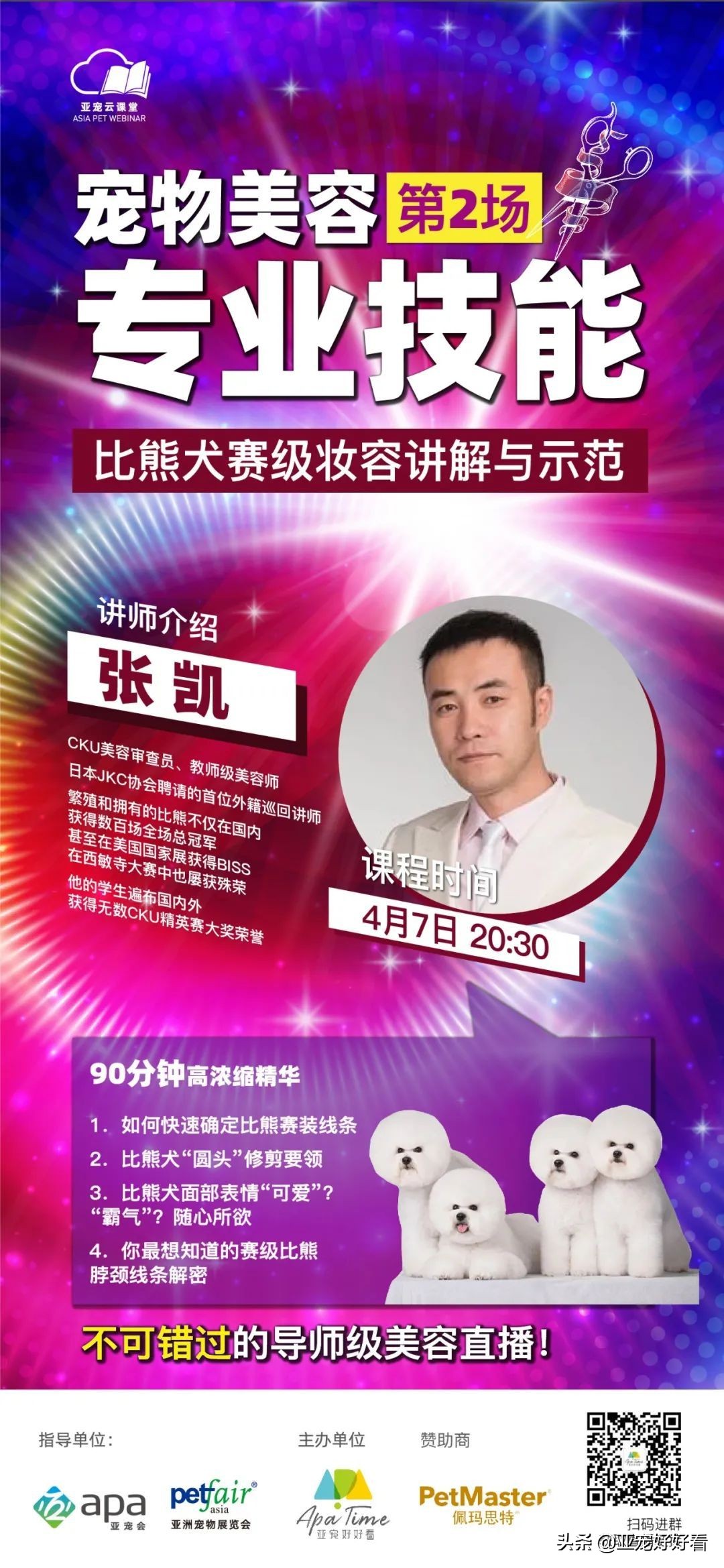 亚宠云课堂,比熊犬赛级妆造型