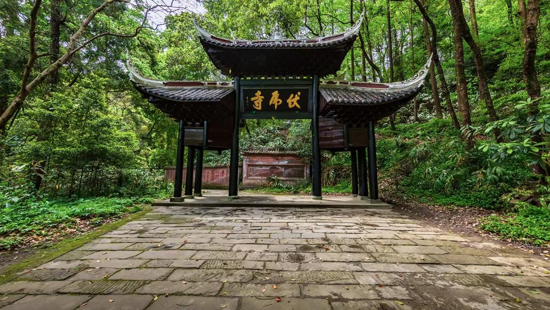 峨眉十大网红打卡地,峨眉网红打卡景点