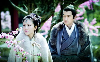 琅琊榜豆瓣评分多少分,琅琊榜豆瓣评分最新