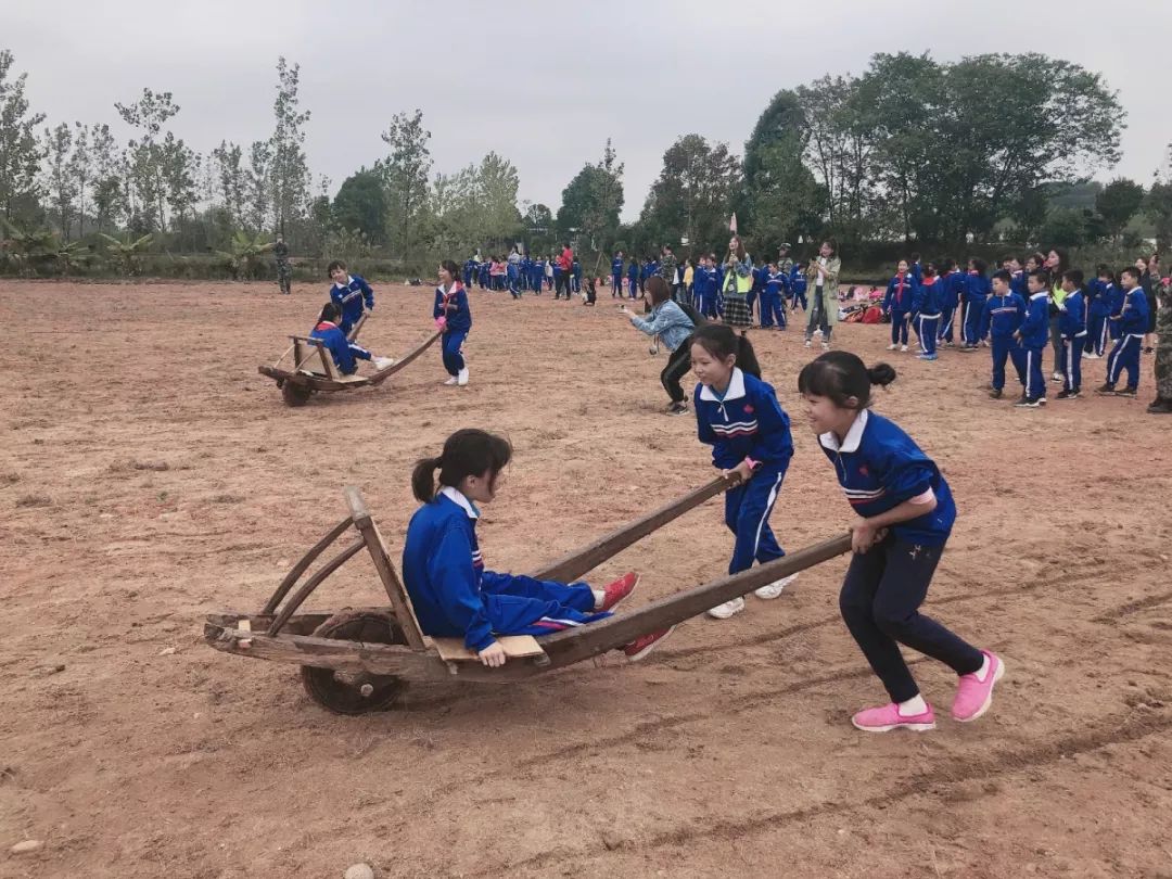 洋沙湖研学基地在哪里,洋沙湖岳阳研学