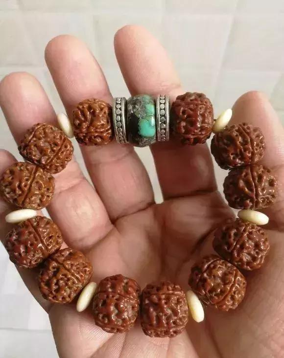 金刚贵贱区别,金刚菩提多久能红