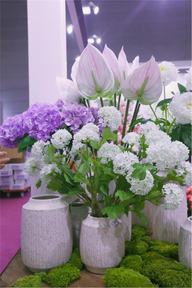 让人惊艳的花展,花展上看到的美到窒息