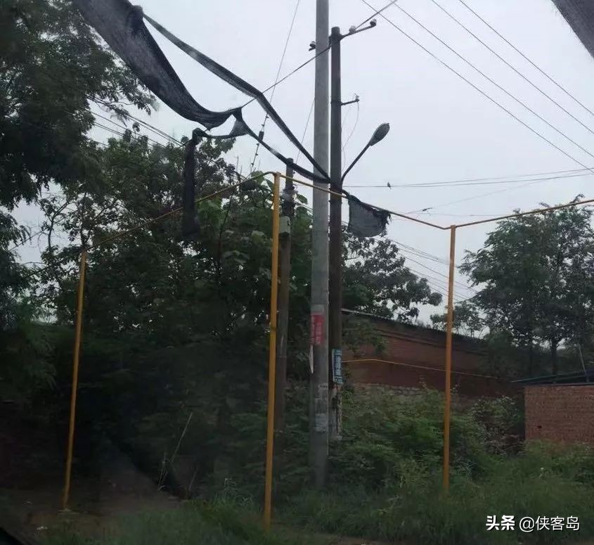 【岛读】今天的内容略长,但绝对值得细看