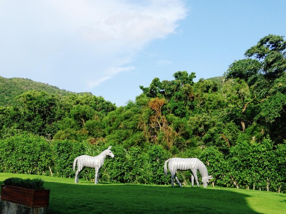 珠海网红村景点,珠海北山村网红打卡圣地