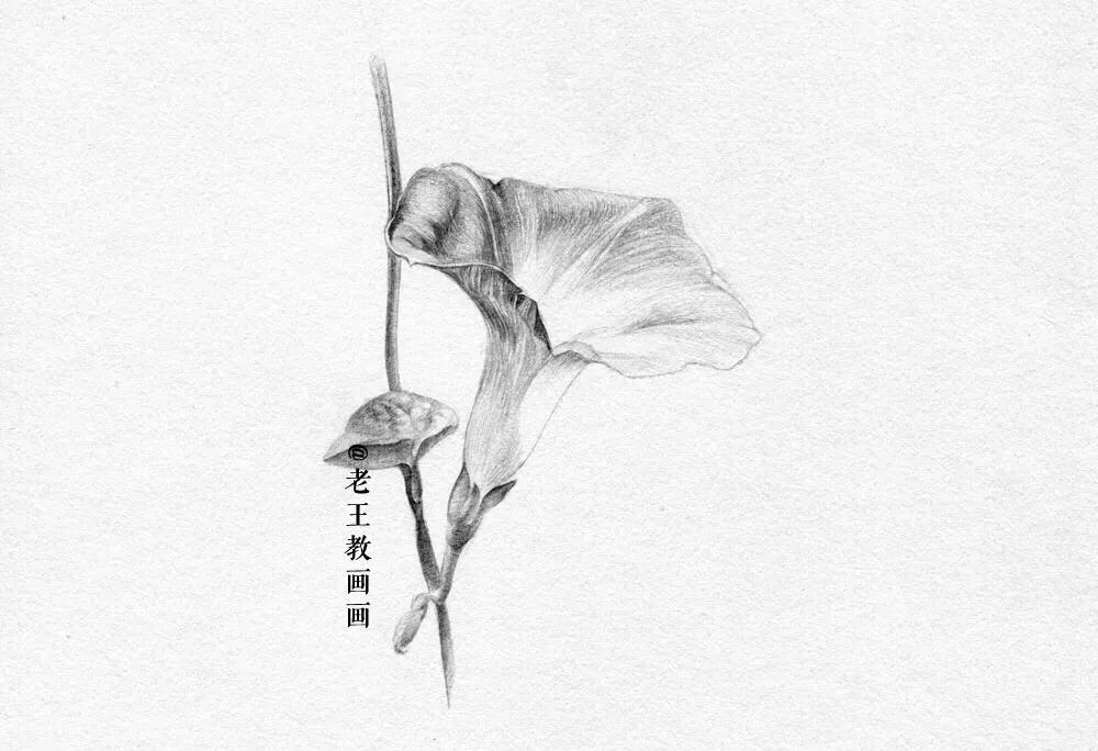 素描小白都在画什么,新手小白画素描人物