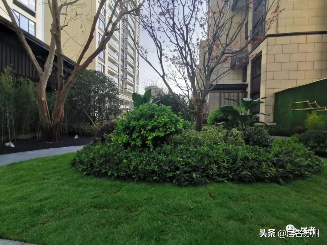 青剑湖新楼盘即将开盘,青剑湖新楼盘最新消息