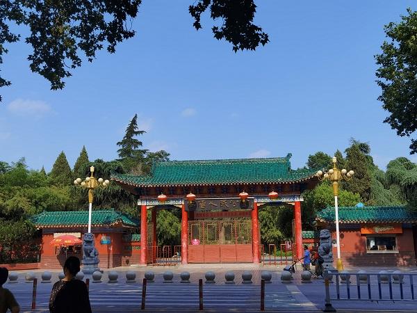 又一核心城区项目入市!它是什么来头?