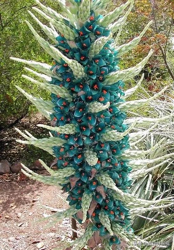 送给群友的美图,最新群相册大全