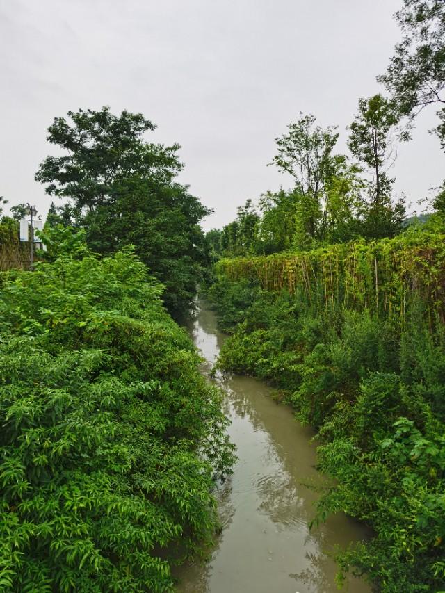 带妈妈去青城山避暑,陪父母游四川青城山