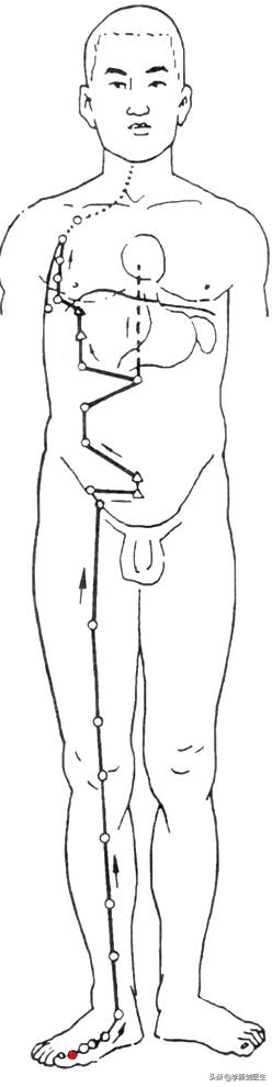 穴位密码胆经,小儿阴陵泉穴位